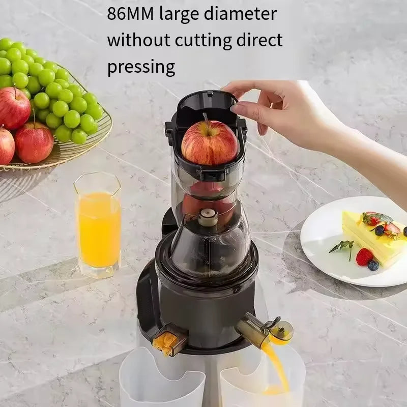 Cold Press Fruit Juicer for Multiple fruits and vegetables
