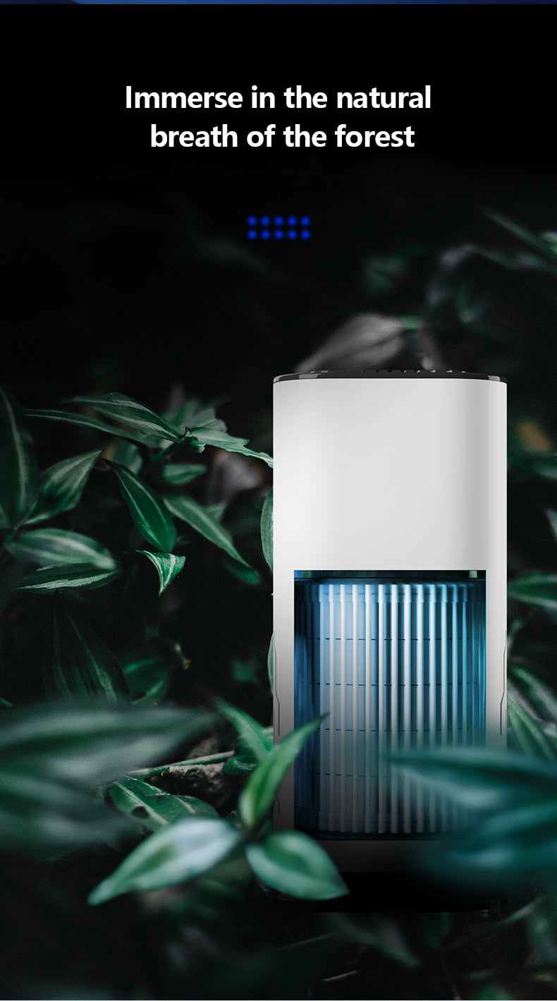 RDR Brand Air Purifier for Car