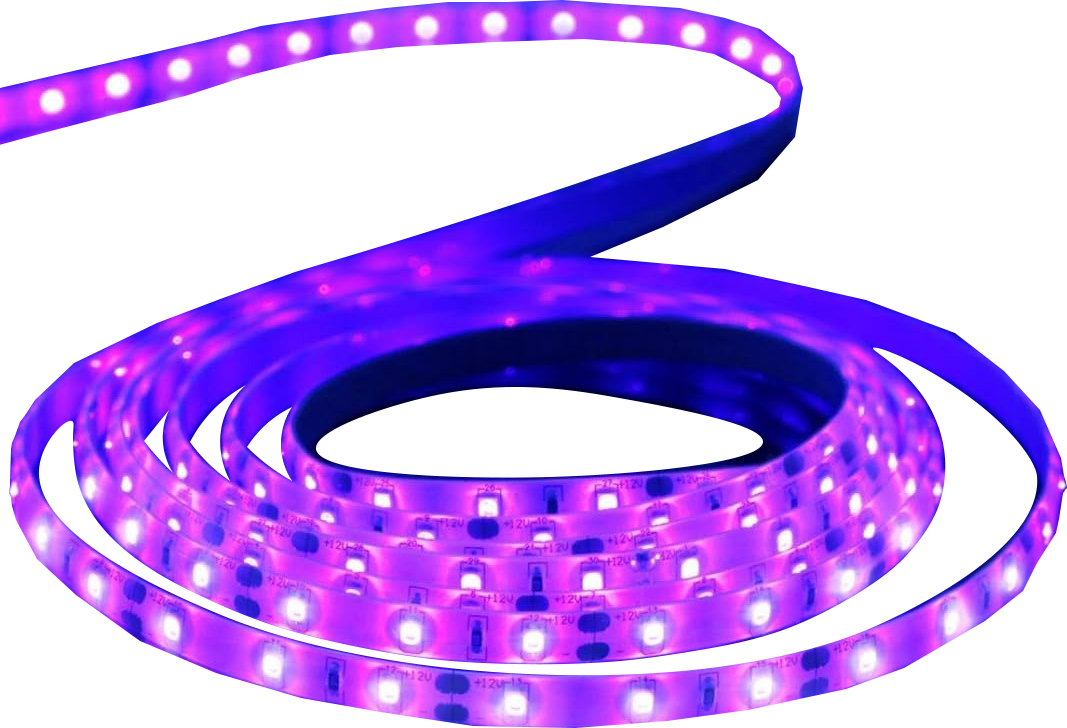 12V DC 2835 Ultraviolet 395nm (385-400nm) LED Strip Light UV LED