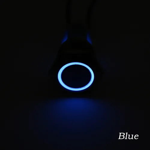 Dual LED 22MM MOMENTARY 9 PIN DPDT RED+BLUE 12V DC