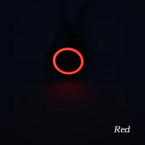 Dual LED 22MM MOMENTARY 9 PIN DPDT RED+BLUE 12V DC