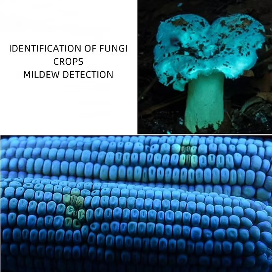 20w 365nm UV(Ultraviolet) aluminium Body Flashlight + cell