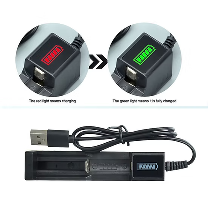 3W UV(Ultraviolet) Torch 365nm +1200mah cell+ charger