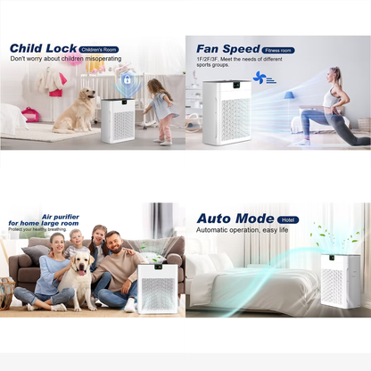High Efficiency Air Purifier with H13 Hepa Filter for Home(Drawing room), office