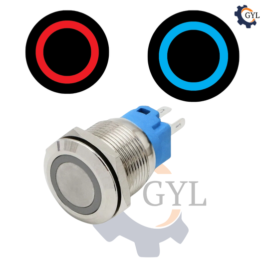 Dual LED 22MM MOMENTARY 9 PIN DPDT RED+BLUE 12V DC