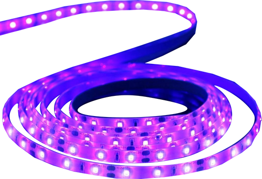 12V DC 2835 Ultraviolet 395nm (385-400nm) LED Strip Light UV LED