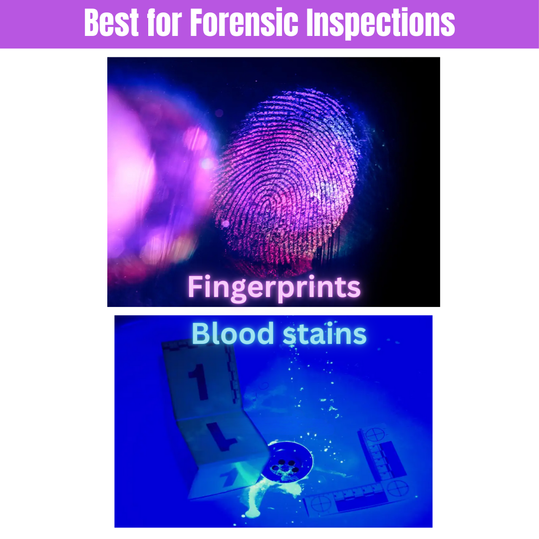 10W 365nm UV Torch for Currency & Document Verification | Black Filter UV Light