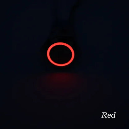 Dual LED 22MM MOMENTARY 9 PIN DPDT RED+BLUE 12V DC
